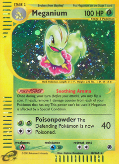 Meganium from Expedition Base Set